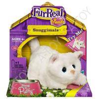 Ласковые зверята - котенок