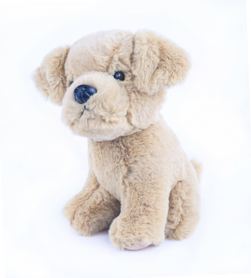 купить Мягкая игрушка Button Blue, Собачка Лабрадор, 20 см.