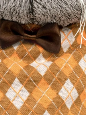 купить  Басик в трикотажном жилете Budi Basa, арт. Ks22-271