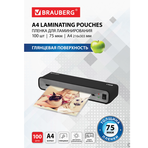 купить Пленки-заготовки для ламинирования. Brauberg А4, комплект 100 шт., 75 мкм,