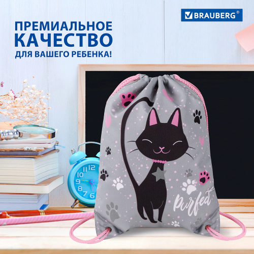 купить Мешок для обуви Brauberg Premium, карман, подкладка, светоотражайка, 43х33 см, "Elegant cat", 271620
