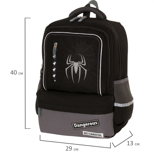 купить Рюкзак BRAUBERG STAR, "Spider", черный, 229978