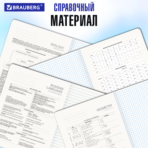 купить Тетради предметные, Комплект 12 предметов, "Кот-Энтузиаст", 48 л., TWIN-лак, Brauberg, 404609