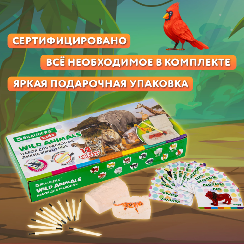 купить Набор для раскопок "Дикие животные", 12 видов, карточки, инструменты, BRAUBERG KIDS
