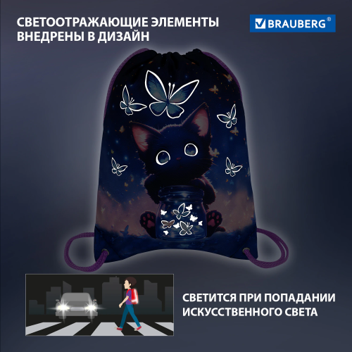 купить Мешок для обуви Brauberg Premium, карман, подкладка, светоотражающие элементы, 43х33 см, Ball, 27028