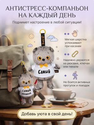 купить Брелок Кот Басик в футболке, Budi Basa
