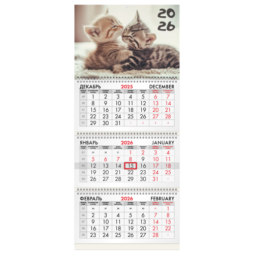 купить Календарь квартальный на 2026 г.,BRAUBERG, "Милые котята"  3 блока, 3 гребня, бегунок