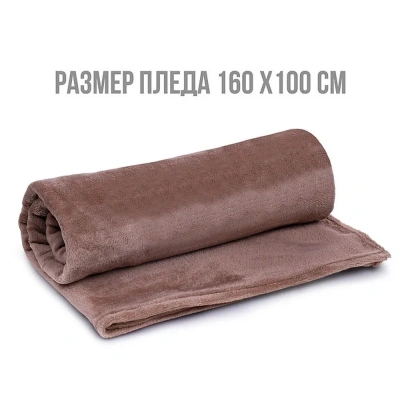 купить Мягкая игрушка  Капибара с пледом 40 см. 