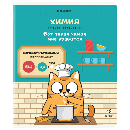 купить Тетради предметные, Комплект 12 предметов, "Кот-Энтузиаст", 48 л., TWIN-лак, Brauberg, 404609