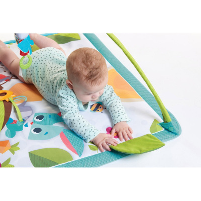 купить Развивающий коврик Tiny Love Солнечный денек (830), 1206506830