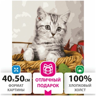 купить Картина по номерам 40х50 см, Остров сокровищ "Котёнок", на подрамнике, акриловые краски, 3 кисти