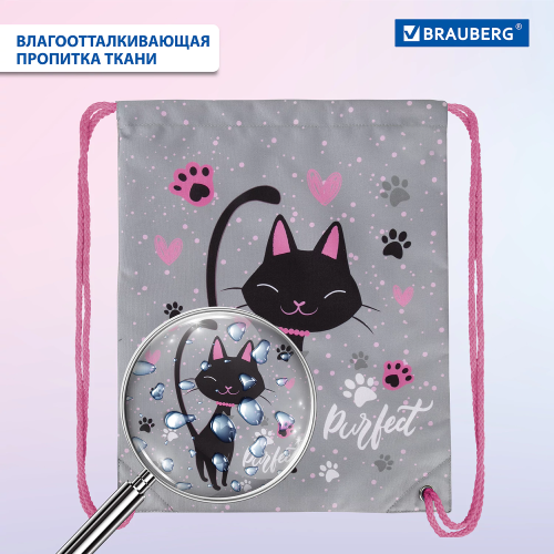 купить Мешок для обуви Brauberg Premium, карман, подкладка, светоотражайка, 43х33 см, "Elegant cat", 271620