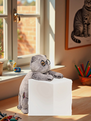 купить Мягкая игрушка Budi Basa Кот Басик в очках, 27 см