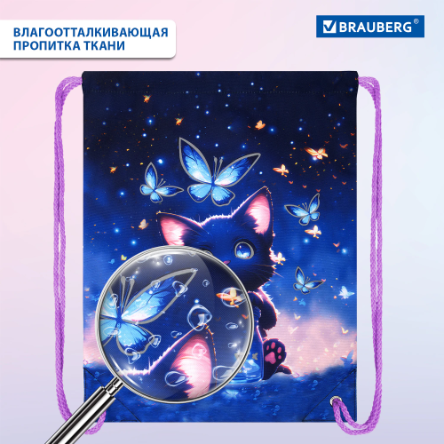 купить Мешок для обуви Brauberg Premium, карман, подкладка, светоотражающие элементы, 43х33 см, Ball, 27028