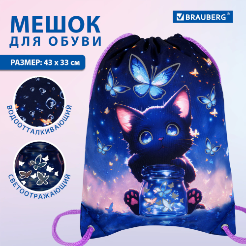 купить Мешок для обуви Brauberg Premium, карман, подкладка, светоотражающие элементы, 43х33 см, Ball, 27028