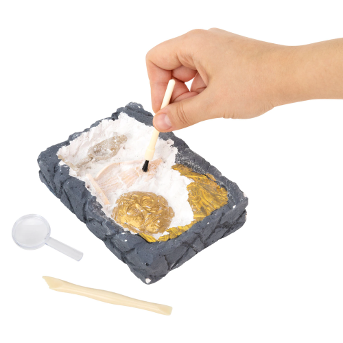 купить Набор для раскопок "Древняя Греция" 16х23 см, BRAUBERG KIDS