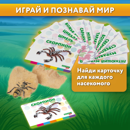 купить Набор для раскопок "Насекомые", 12 видов, карточки, инструменты, BRAUBERG KIDS