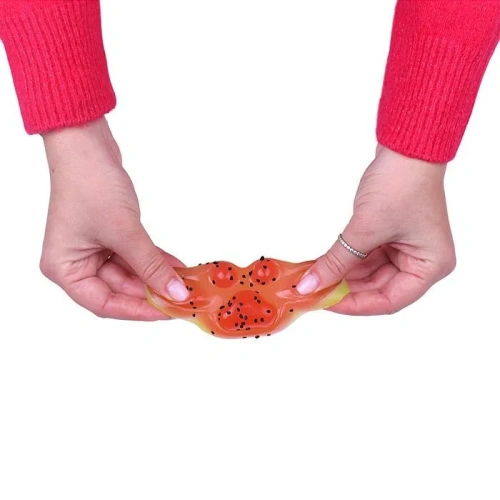 купить Игрушка - Антистресс "Таба Лапка Арбузная" 00-5326