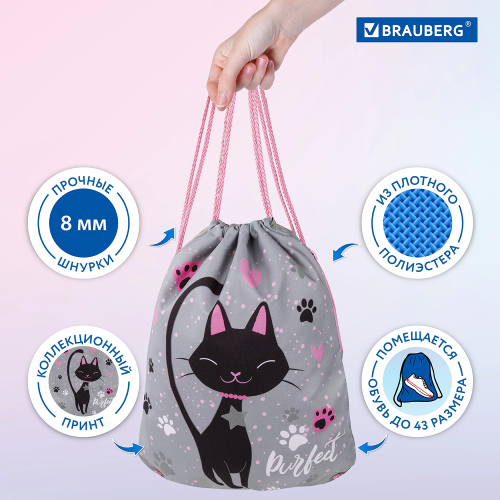 купить Мешок для обуви Brauberg Premium, карман, подкладка, светоотражайка, 43х33 см, "Elegant cat", 271620