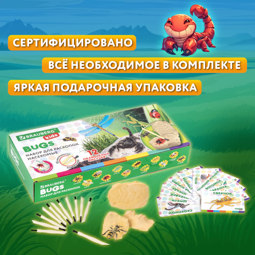 купить Набор для раскопок "Насекомые", 12 видов, карточки, инструменты, BRAUBERG KIDS