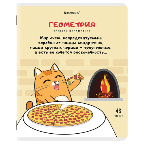 купить Тетради предметные, Комплект 12 предметов, "Кот-Энтузиаст", 48 л., TWIN-лак, Brauberg, 404609