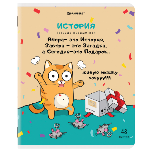 купить Тетради предметные, Комплект 12 предметов, "Кот-Энтузиаст", 48 л., TWIN-лак, Brauberg, 404609