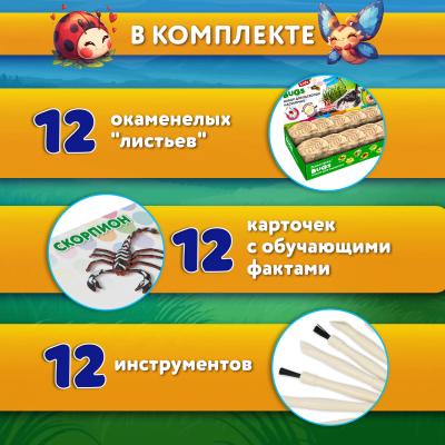купить Набор для раскопок "Насекомые", 12 видов, карточки, инструменты, BRAUBERG KIDS